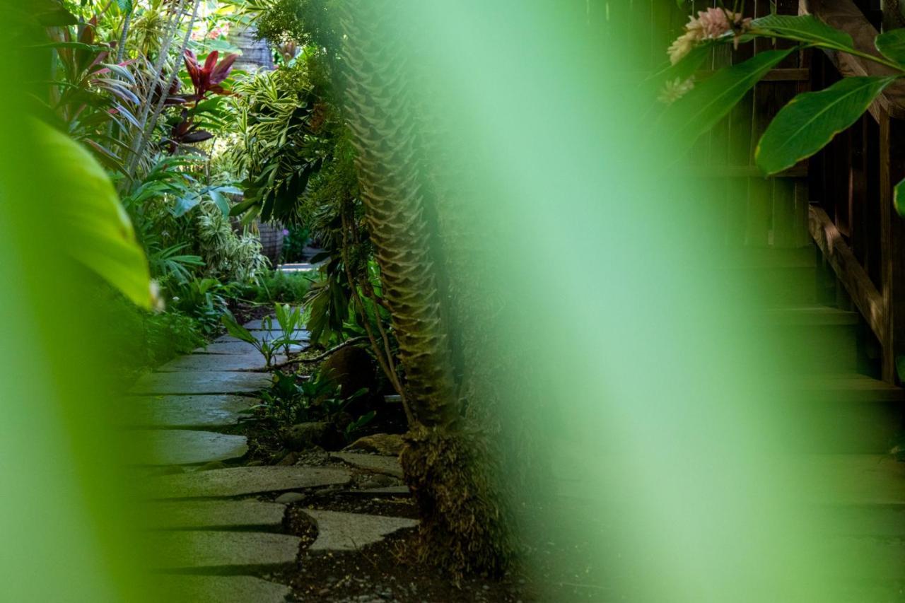 The Kulani Maui Hotel Lahaina Exterior photo